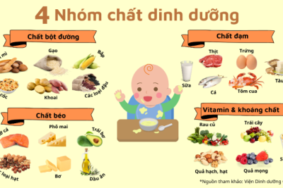 Sổ tính ăn 12/01/2026