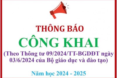 CÔNG KHAI THEO THÔNG TƯ 09/2024/TT-BGDĐT NGÀY 03/6/2024 CỦA BGDĐT